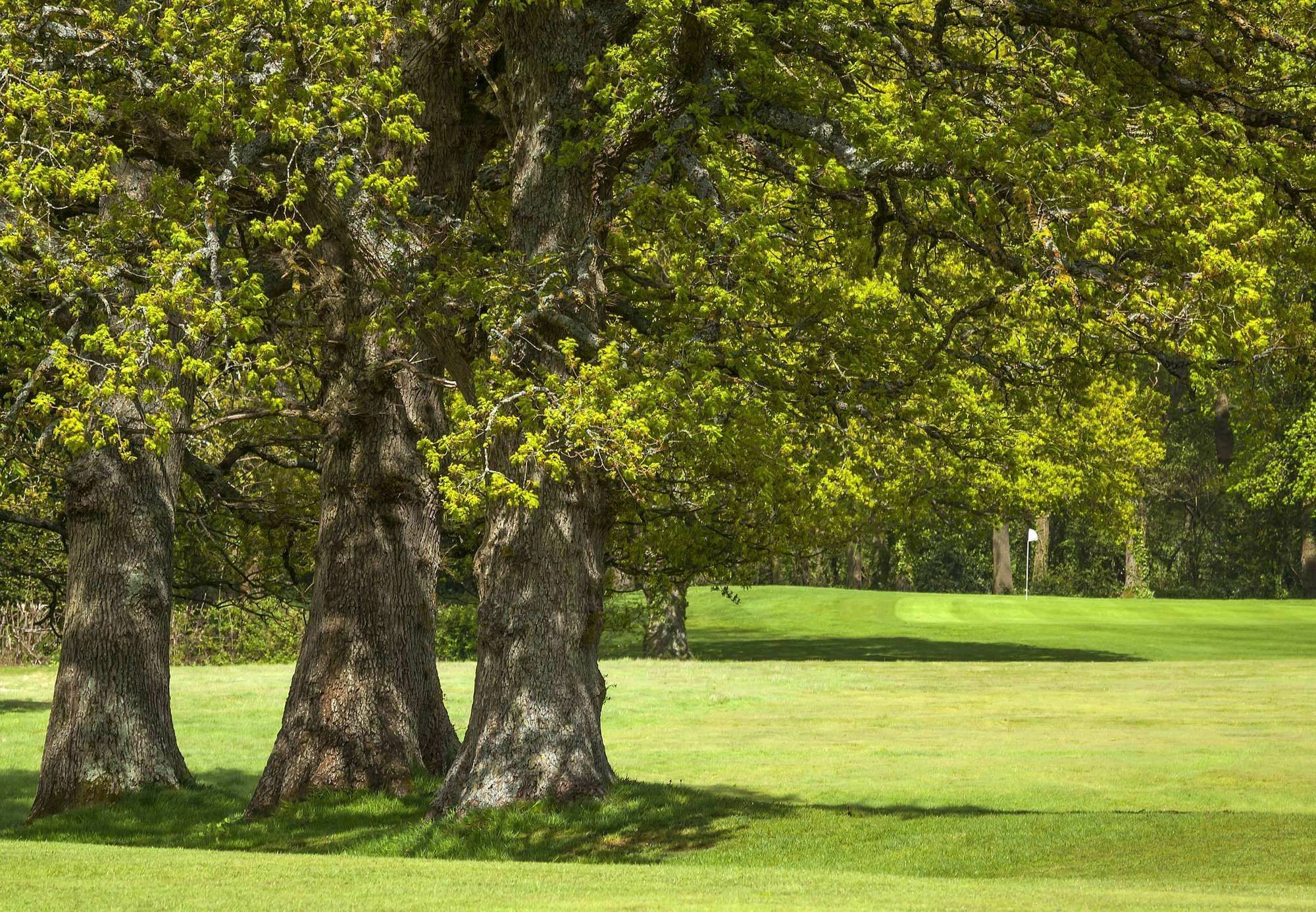 Meon Valley Hotel, Golf & Country Club Shedfield Eksteriør bilde